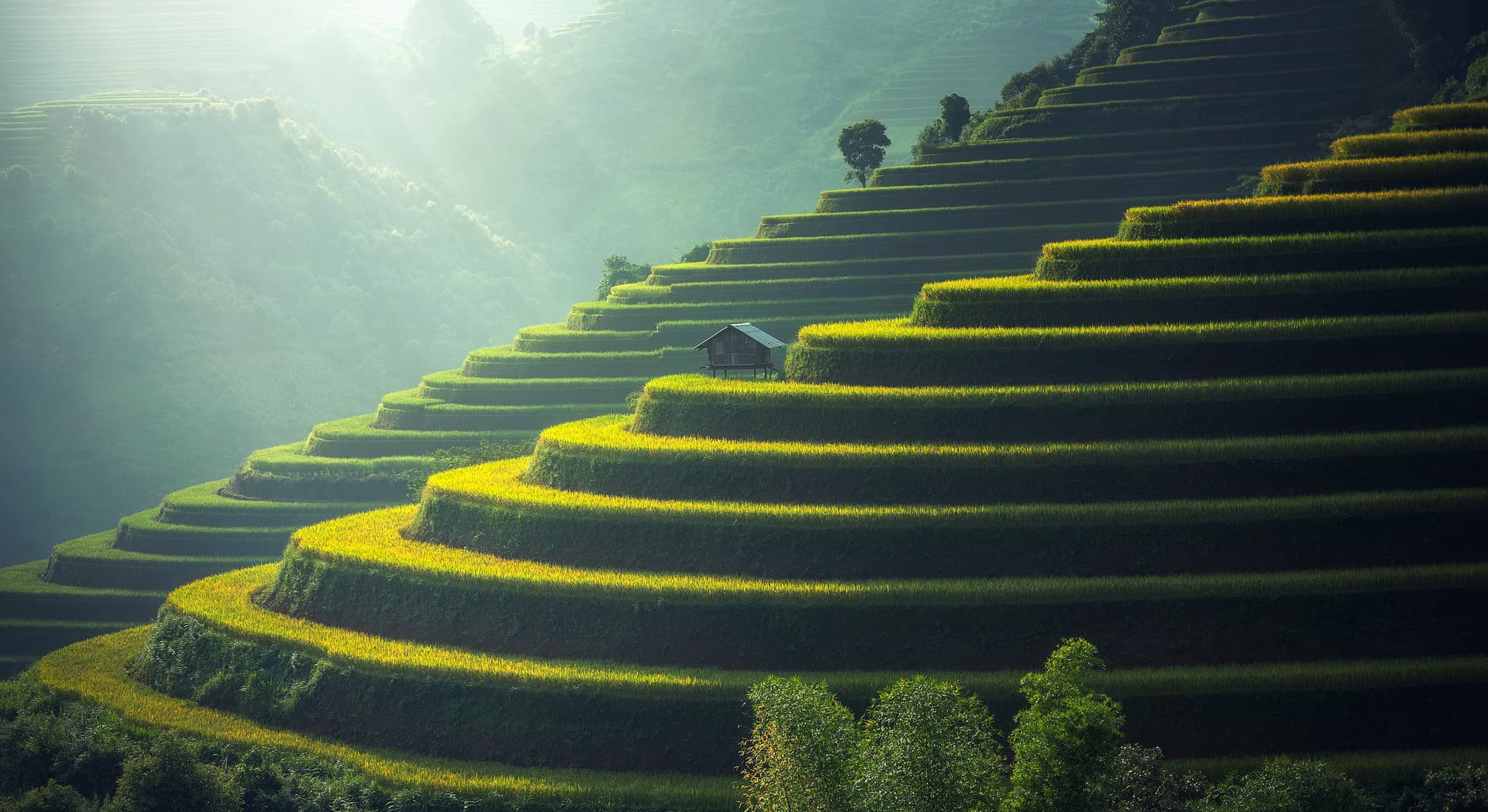 BALI, INDONESIA — YOGA & MEDITATION